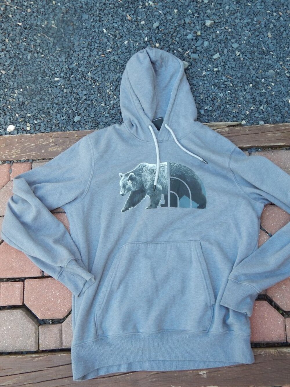 The North Face Hoodie Mens L Gray Bear Mountainscape Pullover Sweatshirt